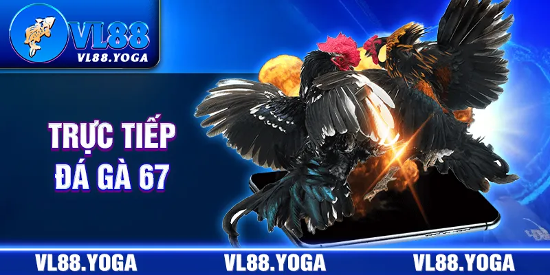 trực tiếp đá gà 67