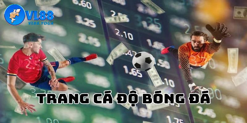 Lý do khiến VL88 là trang cá cược bóng đá hàng đầu